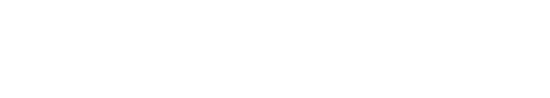 light logo